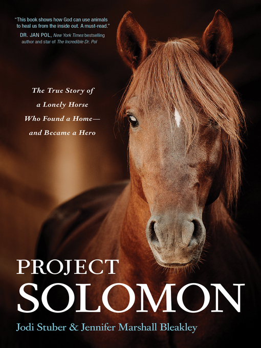 Title details for Project Solomon by Jodi Stuber - Available